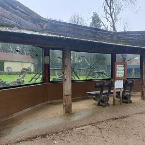 Viewing for Crab-eating macaque exhibit -Marcelle Naturaleza