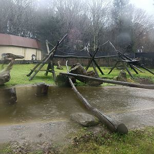 Crab-eating macaque exhibit -Marcelle Naturaleza