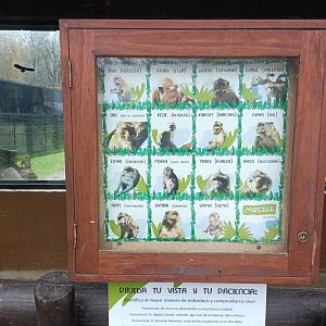 Signae -Marcelle Naturaleza