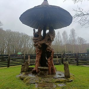 Wood sculpture -Marcelle Naturaleza