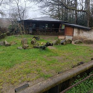 African spurred tortoise exhibit -Marcelle Naturaleza
