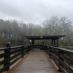 Viewing for carnivore exhibits -Marcelle Naturaleza