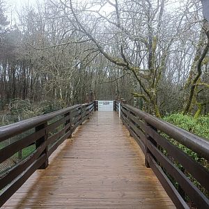 Viewing for canids exhibits -Marcelle Naturaleza