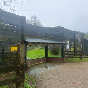 Viewgin for brown bear exhibit -Marcelle Naturaleza