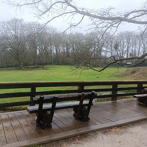 American bison and elk exhibit -Marcelle Naturaleza
