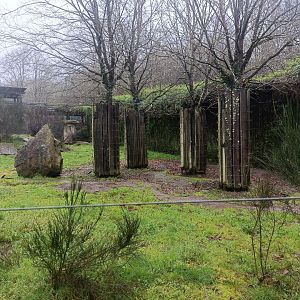 Brown bear exhibit -Marcelle Naturaleza