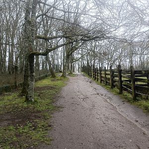 General view -Marcelle Naturaleza