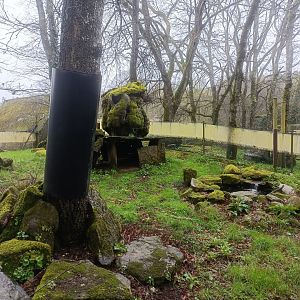 European mink exhibit -Marcelle Naturaleza