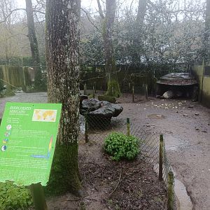 Crested porcupine exhibit -Marcelle Naturaleza