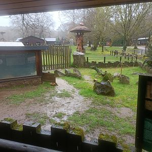 African spurred tortoise exhibit -Marcelle Naturaleza