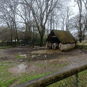 Donkey exhibit -Marcelle Naturaleza