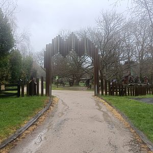 Picnic zone -Marcelle Naturaleza