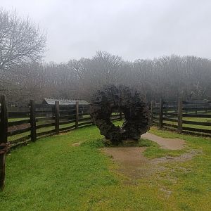 African zone entrance -Marcelle Naturaleza