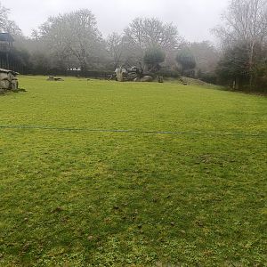 Sitatunga and common eland exhibit -Marcelle Naturaleza