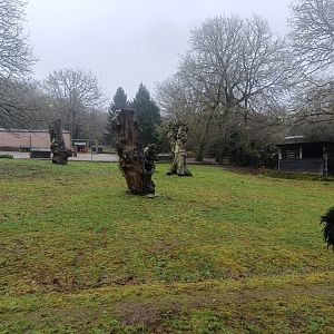 Ostrich exhibit -Marcelle Naturaleza