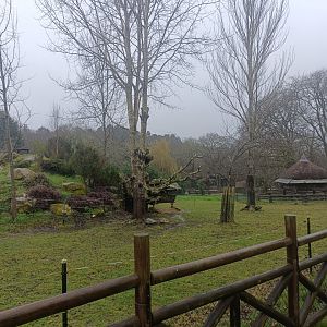 Rhea and guanaco exhibit -Marcelle Naturaleza