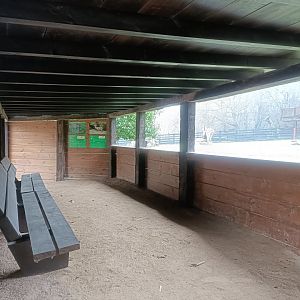 Viewing for Sitatunga and common eland exhibit -Marcelle Naturaleza