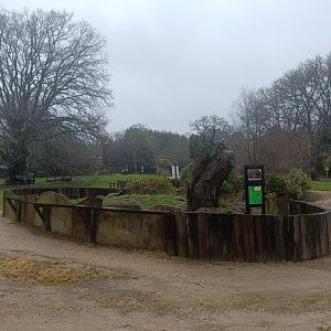 Meerkat exhibit -Marcelle Naturaleza