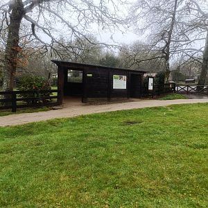 Viewing for dama gazelle exhibit -Marcelle Naturaleza