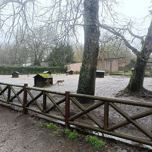 Patagonian mara exhibit -Marcelle Naturaleza