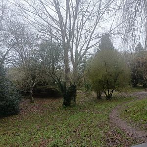 Mixed bird exhibit -Marcelle Naturaleza