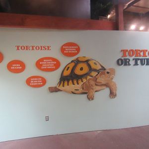 new signage in World of Adaptions