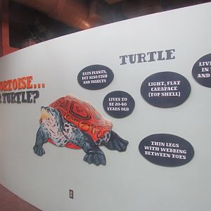 new signage in World of Adaptions