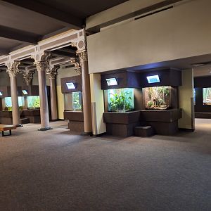 Right side view from entry