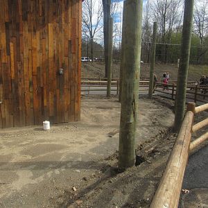 outdoor serval space under construction