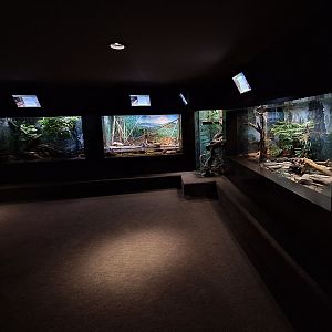 Right side front hall