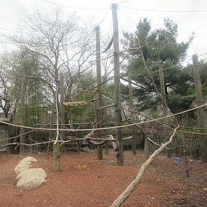 new outdoor gibbon enclosure