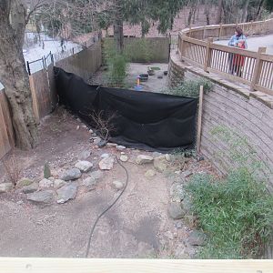 the shrunken red-crowned crane enclosure and the space between it and the red panda building