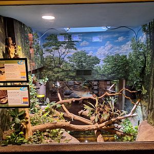 Pig-nosed and red-bellied short necked turtle enclosure (Top view)
