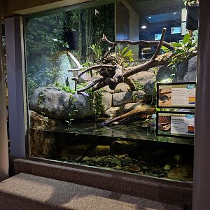 Pig-nosed and red-bellied short necked turtle enclosure (Bottom view)
