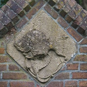 Freshwater angelfish artwork in outer wall of zoo, 2023-08-17