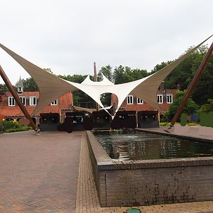 Entrance area with koi pond, 2023-08-17