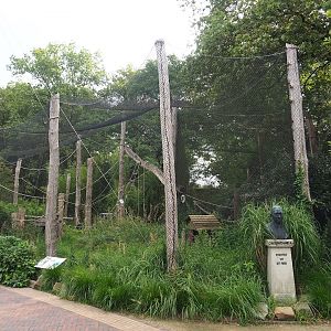Ring-tailed lemur exhibit in the entrance area, 2023-08-17