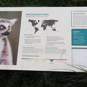 Signage example - Ring-tailed lemur, 2023-08-17