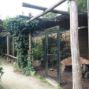 Golden pheasant aviary in the entrance area, 2023-08-17