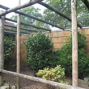 Golden pheasant aviary in the entrance area, 2023-08-17