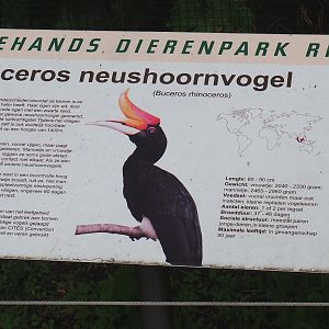 Signage example - Rhinoceros hornbill, 2023-08-17