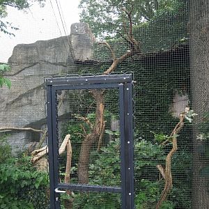 Wreathed hornbill aviary, 2023-08-17