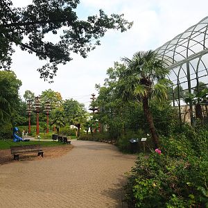 Park view near Urucu aviary, seen towards the Bornean orangutan outdoor exhibit, 2023-08-17