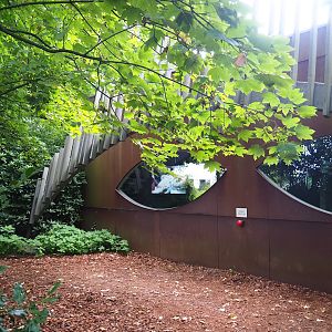 Viewing windows for veterinary clinic, 2023-08-17