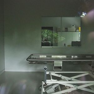 Veterinary clinic, 2023-08-17