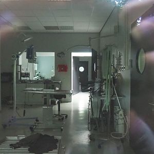 Veterinary clinic, 2023-08-17