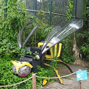 Recycled materials artwork exhibition - Wasp, 2023-08-17