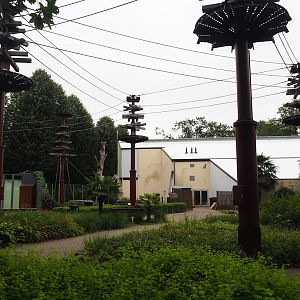 Bornean orangutan climbing structures above visitor area, Orangutan outdoor exhibit and Orangutan building, 2023-08-17