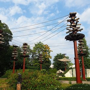 Bornean orangutan climbing structures above visitor area, 2023-08-17