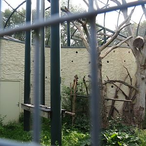 Urucu aviary, 2023-08-17